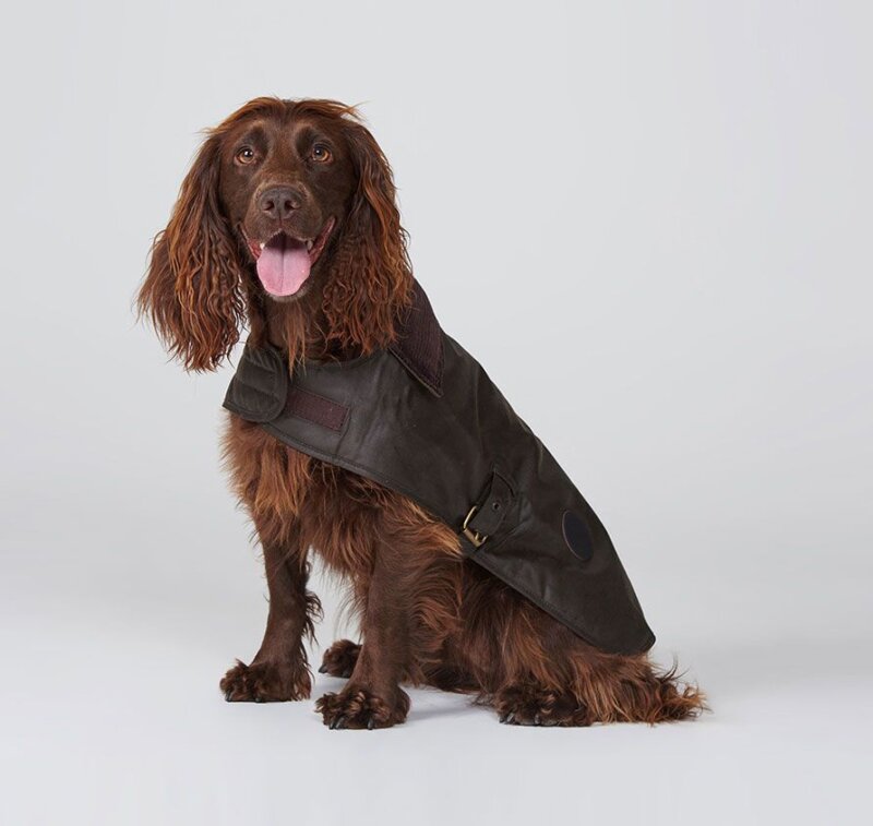 Wax Dog Coat - Image 3