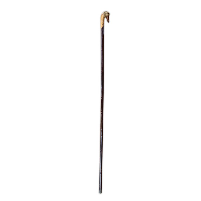 Walking Stick Mallard