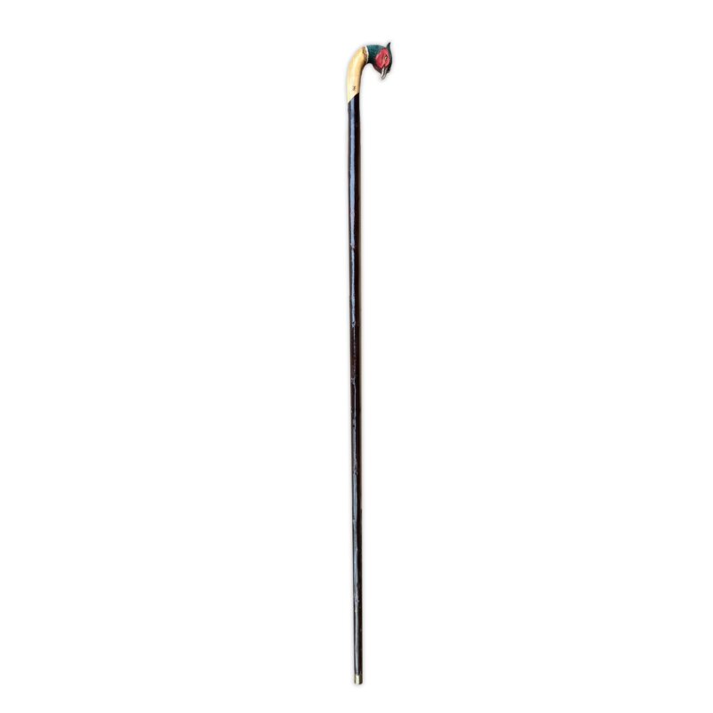 Walking Stick Pheasant